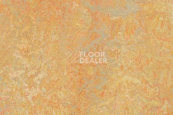 Линолеум Marmoleum Marbled Vivace 3411-341135 sunny day фото 1 | FLOORDEALER